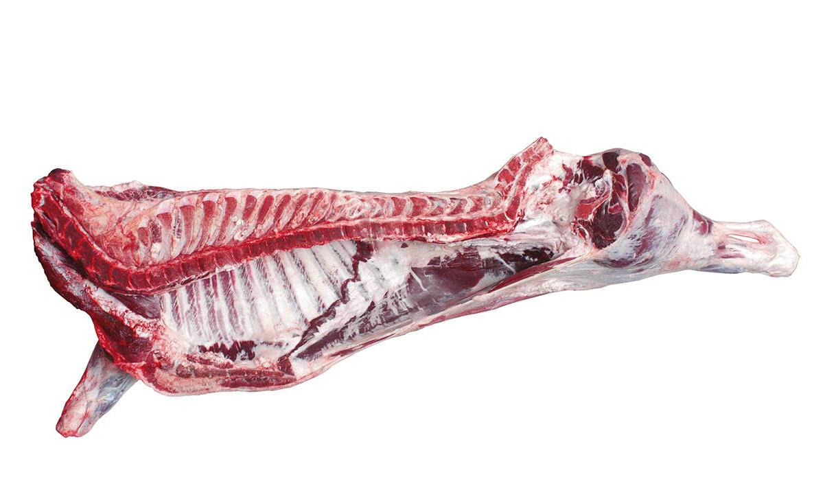 00frozen-Beef-Carcass