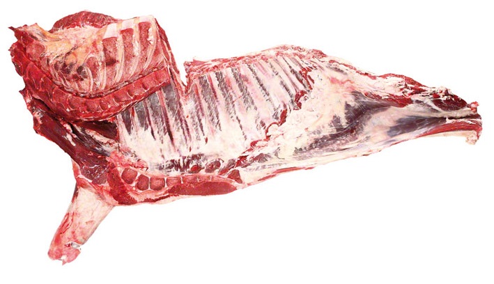 02FROZEN-BEEF-FOREQUARTER-