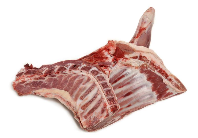 Frozen-lamb-Forequarter