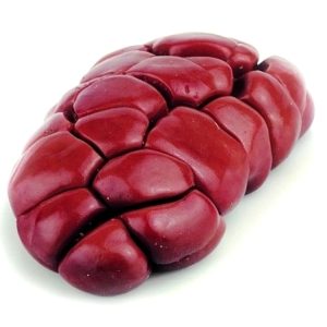 Frozen-Beef-Kidneys-1